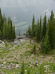 Cdn Rockies Adventure (Aug 2010) - Talus - 013
